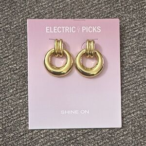 Electric Picks Earrings